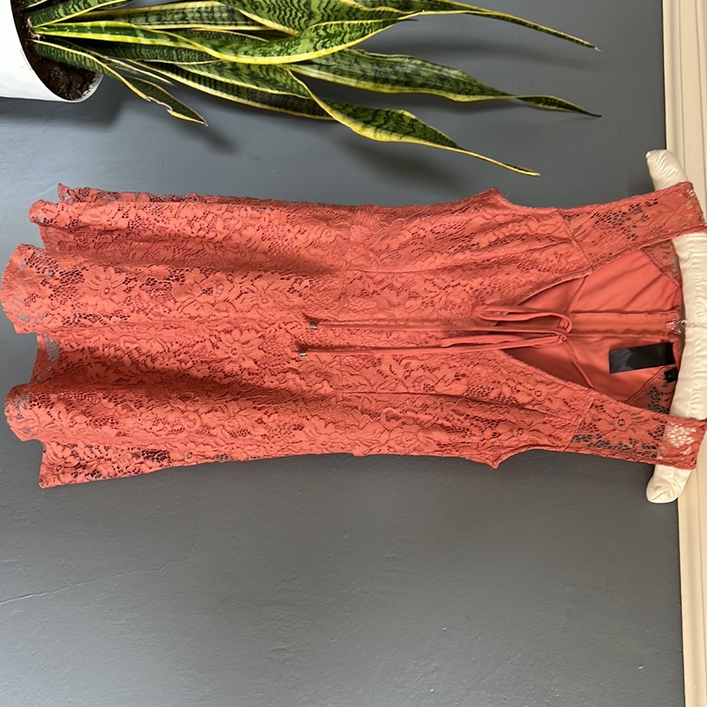Lace Dress - Picture 2 of 2
